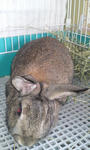 2011.4.21