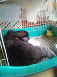 2011.5.4