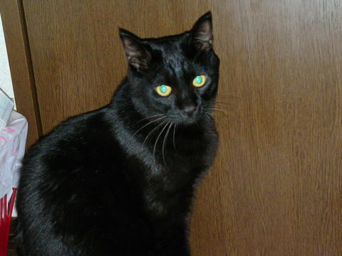 Sany0104.jpg