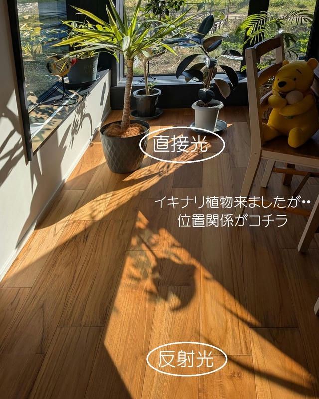 遮蔽ガラスの反射