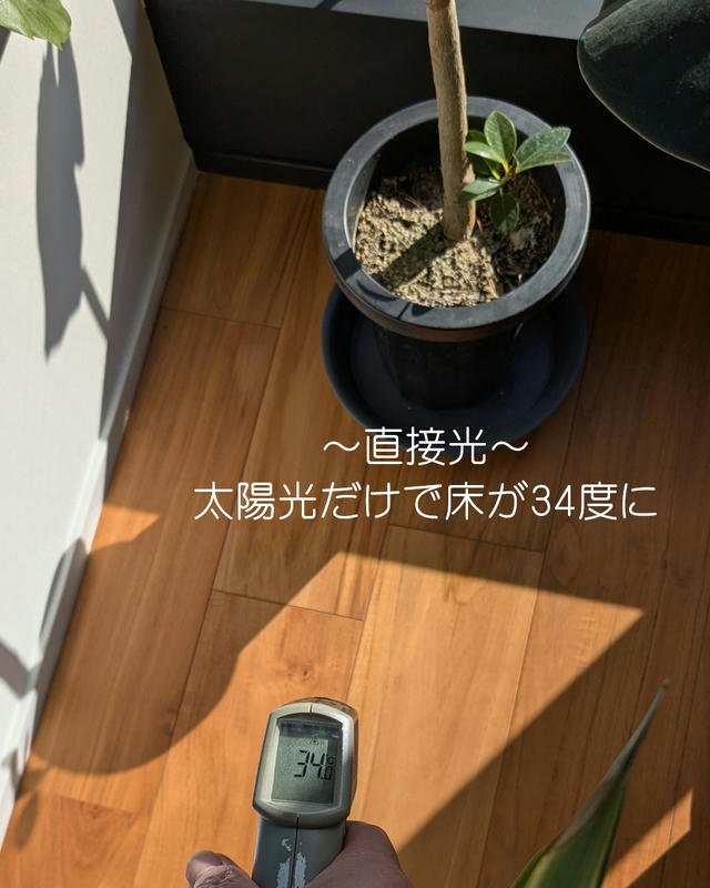 取得ガラスの効果