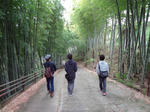 20110506-03.JPG