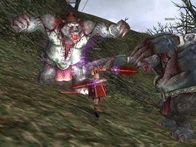 rohan0815234817640.jpg
