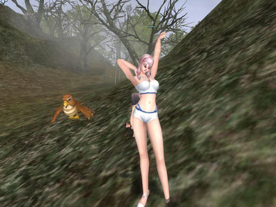 rohan0909001644156.jpg