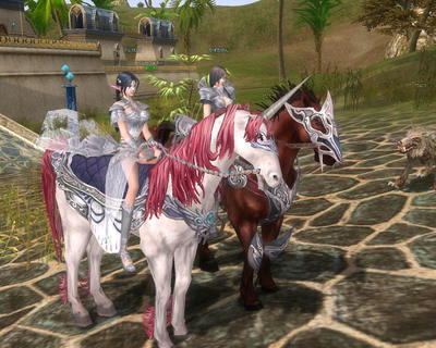 rohan0928225552765.jpg