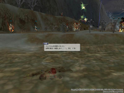 FE2008033016255964768656.JPG
