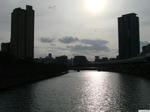 20110101-03.JPG