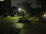 20111113-01.JPG