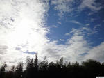 20111203-01.JPG