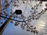 20120407-01.JPG