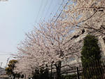 20120408-02.JPG