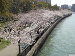 20120408-03.JPG