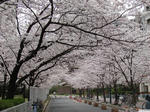 20130406-03.JPG