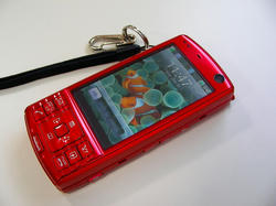 SANY0063-small.JPG