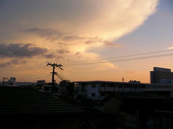SANY0011-small.JPG