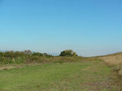 SANY0096-blog.jpg