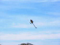 SANY0236-blog.jpg