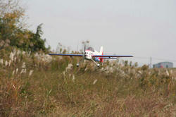 IMG_3651-blog.jpg