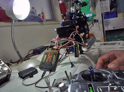 P1020129-blog.jpg