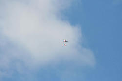 IMG_3995-blog.jpg