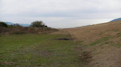 SANY0060-blog.jpg
