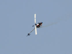 IMG_4259.jpg