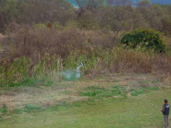 P1020221-blog.jpg