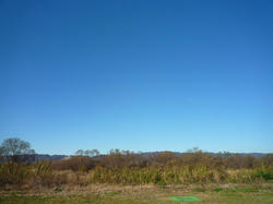 P1020247-blog.jpg