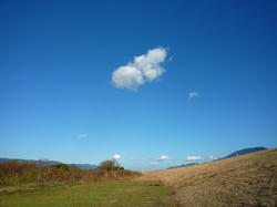P1020248-blog.jpg