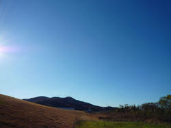 P1020249-blog.jpg