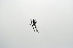 IMG_4345.jpg