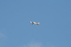 IMG_4523.jpg