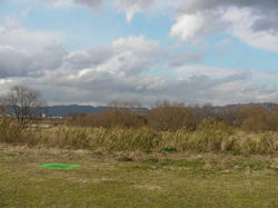 SANY0321-blog.jpg