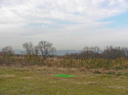 SANY0320-1.jpg