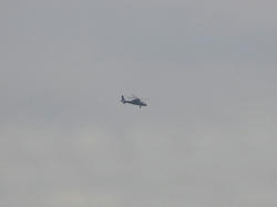 SANY0321-1.jpg
