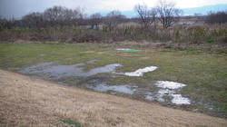 SANY0334-blog.jpg