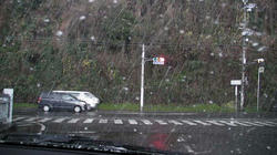 SANY0340-blog.jpg