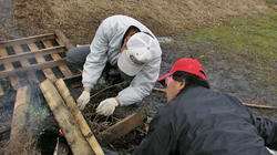SANY0368-blog.jpg