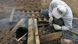 SANY0369-blog.jpg