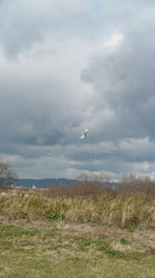 SANY0371-blog.jpg