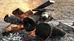 SANY0375-blog.jpg