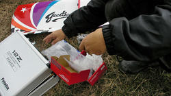 SANY0376-blog.jpg