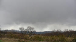 SANY0380-blog.jpg
