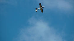 SANY0345-blog.jpg