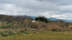 SANY0378-blog.jpg