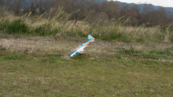 SANY0379-blog.jpg