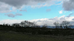 SANY0389.jpg