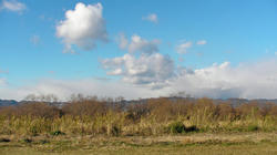 SANY0323-blog.jpg
