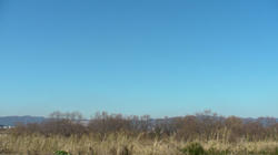 SANY0321.jpg