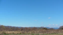 SANY0471-blog.jpg